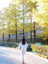 江浙滬賞秋天花板｜香山雙山兩天一日附地圖。
