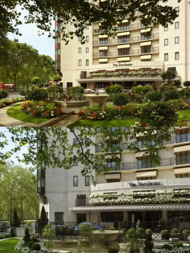 Luxury Choice | The Dorchester Hotel.