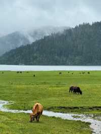 Pudacuo National park Paradise of Dreams in yunnan Province 🇨🇳