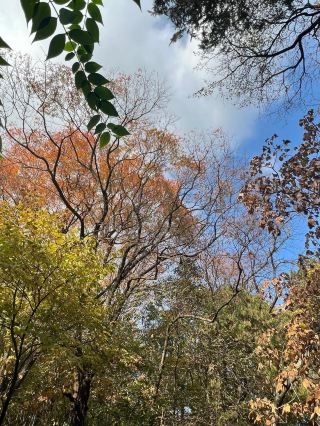 森林氧吧皇藏峪。