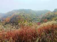西安‖徒步五道梁觀賞紅葉。