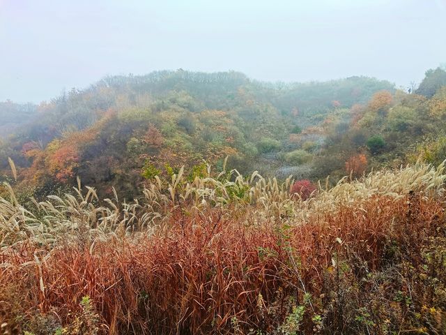西安‖徒步五道梁觀賞紅葉。