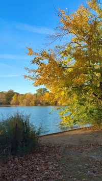 New York | Live Photos: Autumn Palette at Prospect Park
