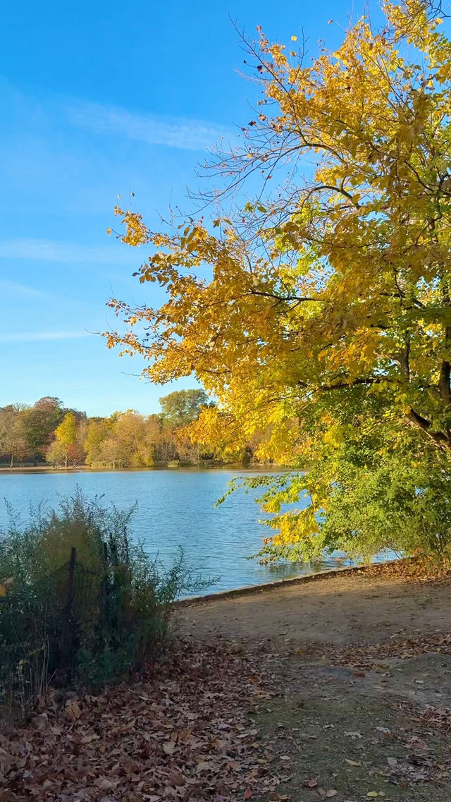 New York | Live Photos: Autumn Palette at Prospect Park