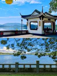 就在東莞平替版洱海趕緊收藏出發。