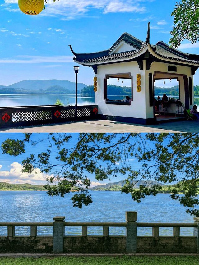 就在東莞平替版洱海趕緊收藏出發。