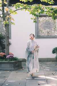 蘇州的這個免費園林也太好拍了。