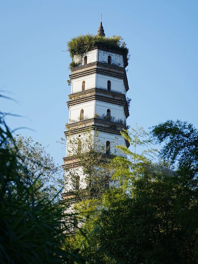 撫州2日遊 玩轉全城的秘密攻略。