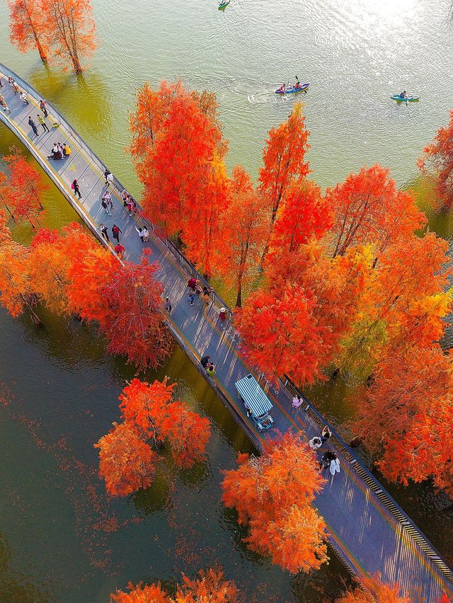 青山湖紅了！簡直落入了夢幻世界！附攻略！