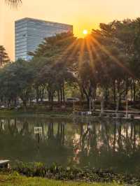 陳村新開發的公園！露營釣魚放風箏踩單車一園俱全