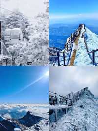 轎子雪山雪景美不勝收，千萬別錯過12月賞雪良機！！
