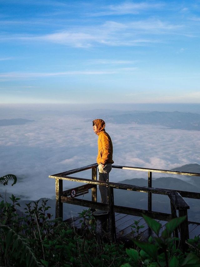 清邁茵他儂輕徒步近期雲海美爆。