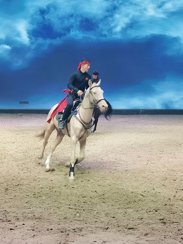 烏魯木齊‖汗血寶馬基地一定要去！