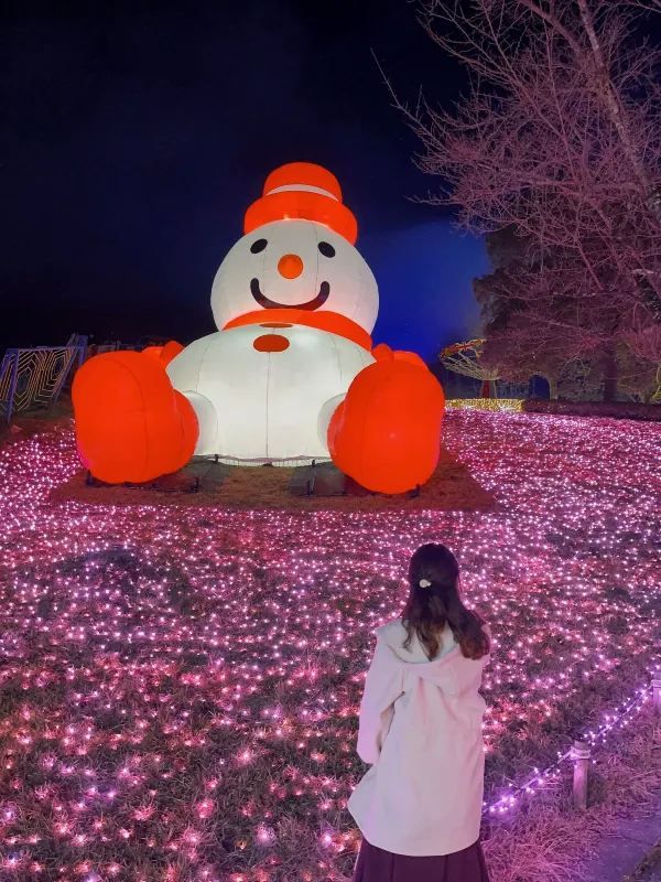 Kanto's Grand Light Show - Sagamiko Illumination