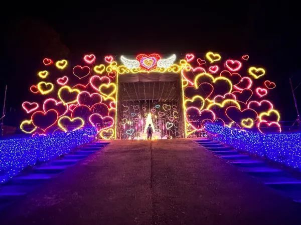 2022 Sagamiko Forest Light Show