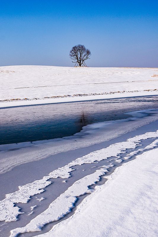 日照冬日遊|看雪、美食、景點全攻略！