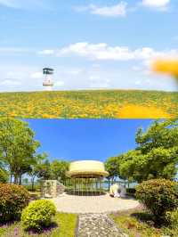 淮安白馬湖公園旅遊攻略
