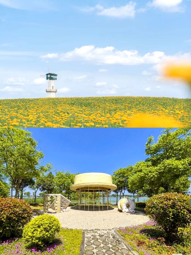 淮安白馬湖公園旅遊攻略