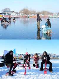 賓果戲雪王國，你一定不容錯過！！！