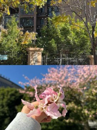 好喜歡攀枝花這個城市，來了一次就不想走了。