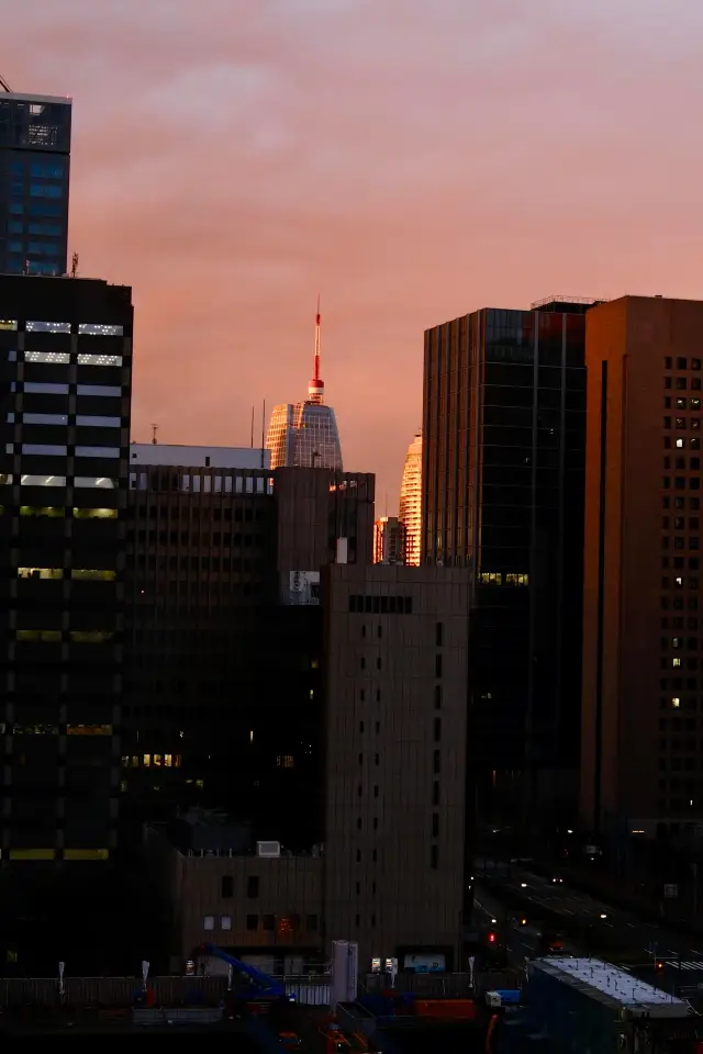 도쿄 제국 호텔