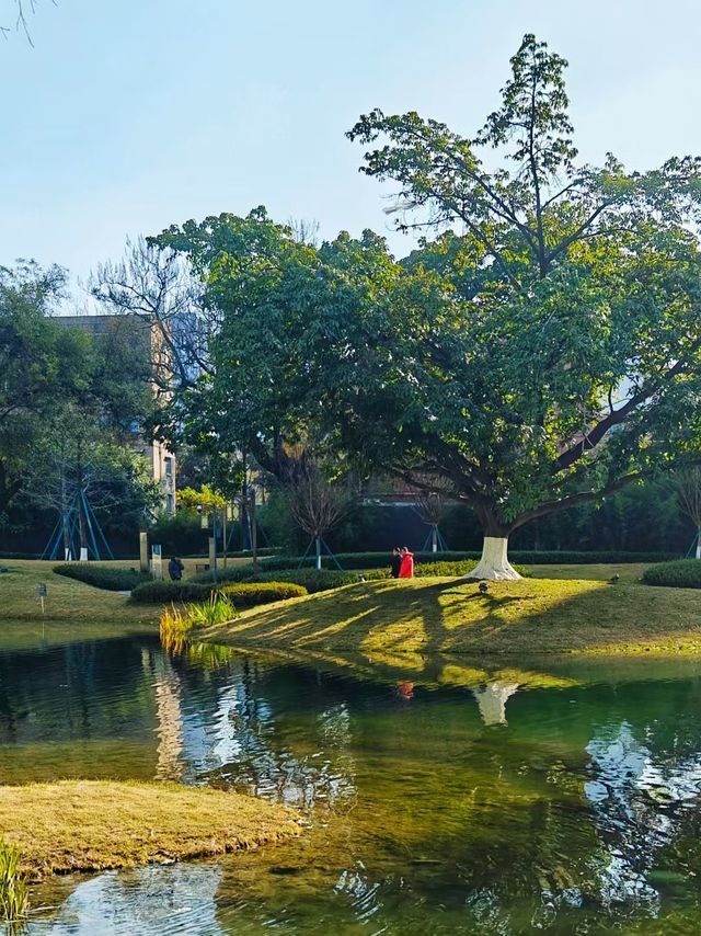 冬日暖陽下的摩訶池公園