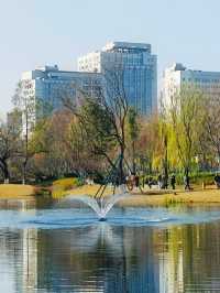 冬日暖陽下的摩訶池公園