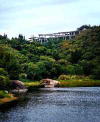 高山水庫變成了湖·高空步道美景盡收