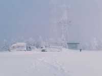 Exploring Nagano's Shiga Kogen Ski Resort: Yokoteyama & Shibutoge