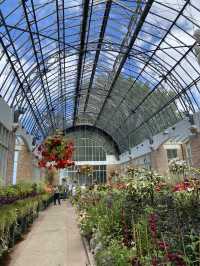 Discover Auckland's Domain Wintergardens: A Free Floral Escape