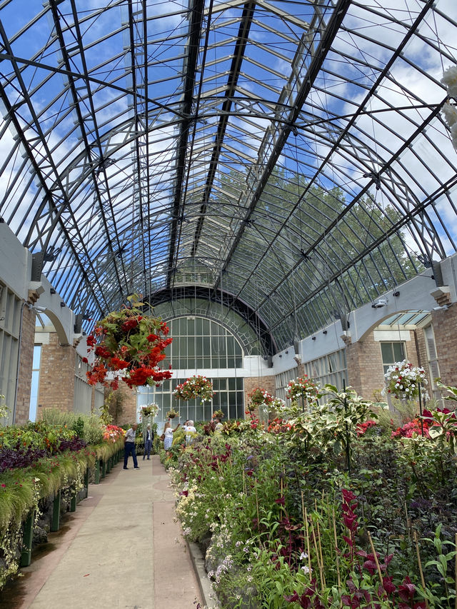 Discover Auckland's Domain Wintergardens: A Free Floral Escape