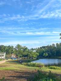 誤入現實版的莫奈花園｜上海共青森林公園