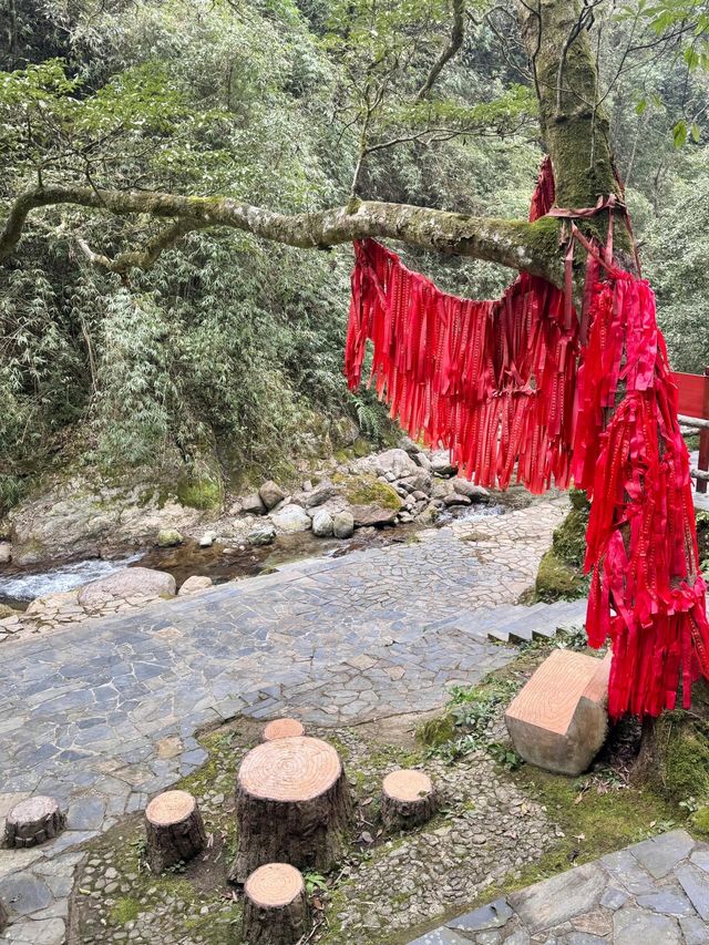 新年去黑山谷，感受濃濃年味的奇妙旅程!
