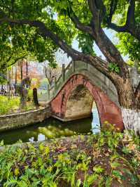 東莞可園