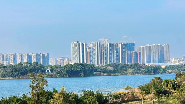 立新湖公園