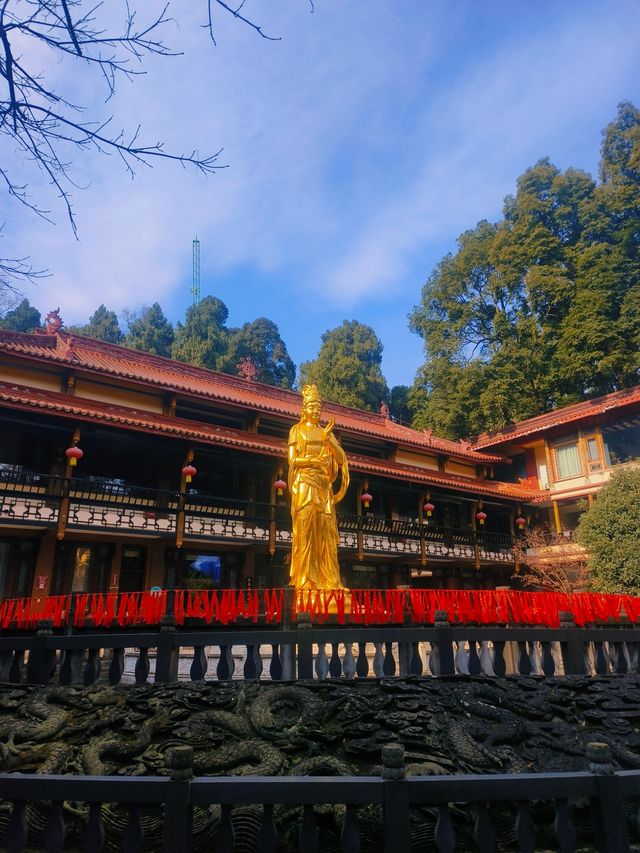 成都！明星都來的開運寺廟——普照寺