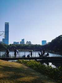 深圳好逛公園系列｜落羽杉草地和流水潺潺