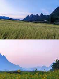 沐春山居，棲秀堂前 | 油菜花季