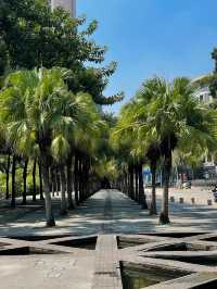 #中山市岐江公園的迷人風采
