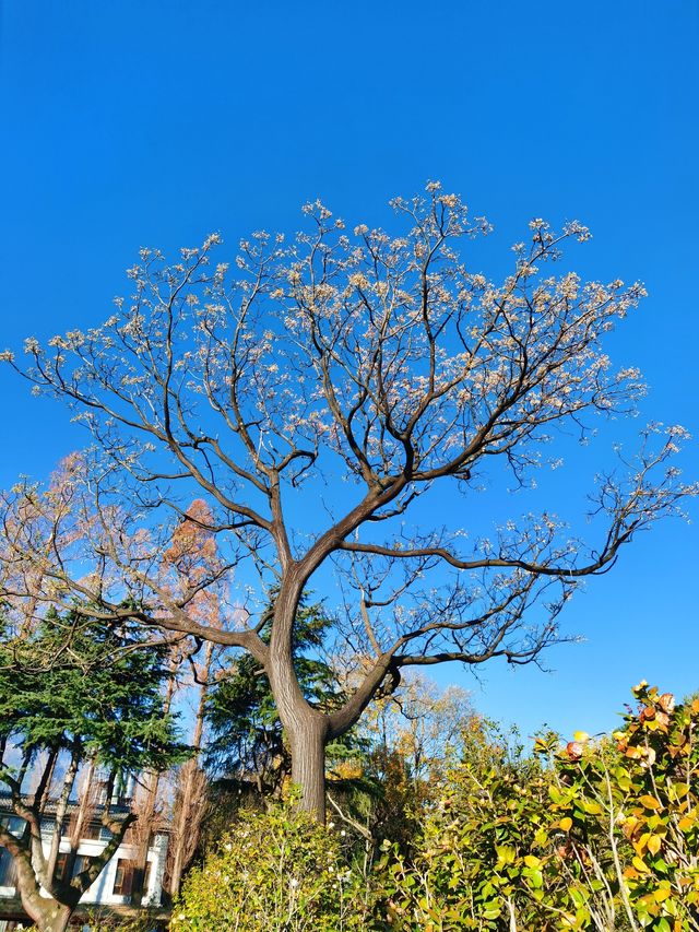 在大理邂逅洱海的浪漫｜行程推薦