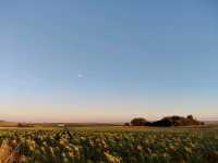 A Magical Sunset in Used, Aragón 🌅🌾