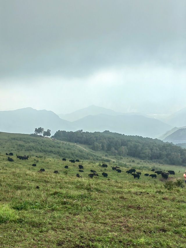 北靈山爬不膩，北京小「阿勒泰」名不虛傳
