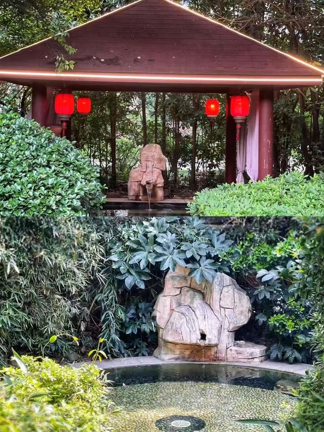 長沙寧鄉必去的3個真溫泉！說走就走！