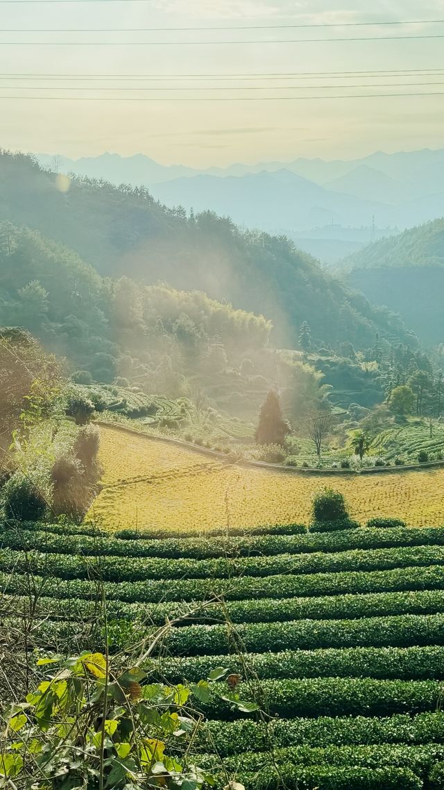 探秘仙都,盡情享受自然與古韻…… 探秘仙都,盡情享受自然與古韻……