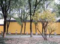 湖南岳陽聖安寺 | 願心所願，皆能如願