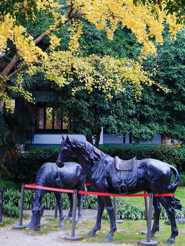 亭林園裡憶亭林·美哉亭林園-3