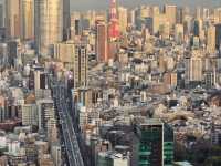 Tokyo 2 Days Travel Guide 