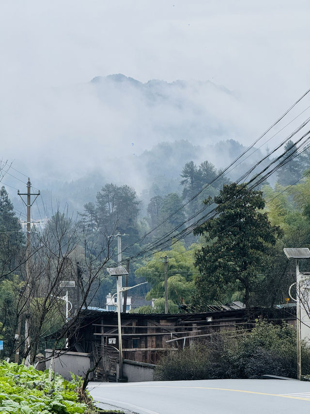 在貴州大山裏徒步 身臨其境的愜意