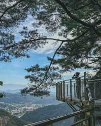 在原州市雉岳山看到了絕美的霧凇