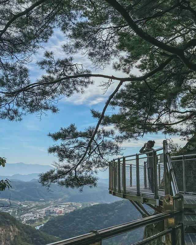 在原州市雉岳山看到了絕美的霧凇